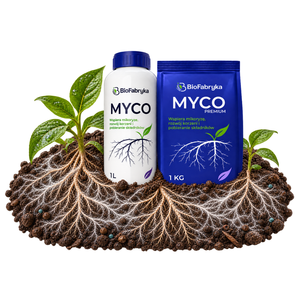 BioFabryka MYCO